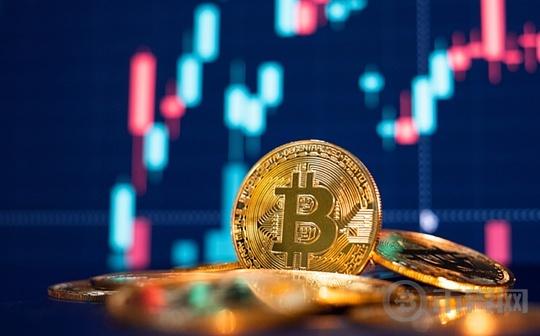 机构投资者比特币持仓详情解读:8000份13F文件揭示了怎样的信号?